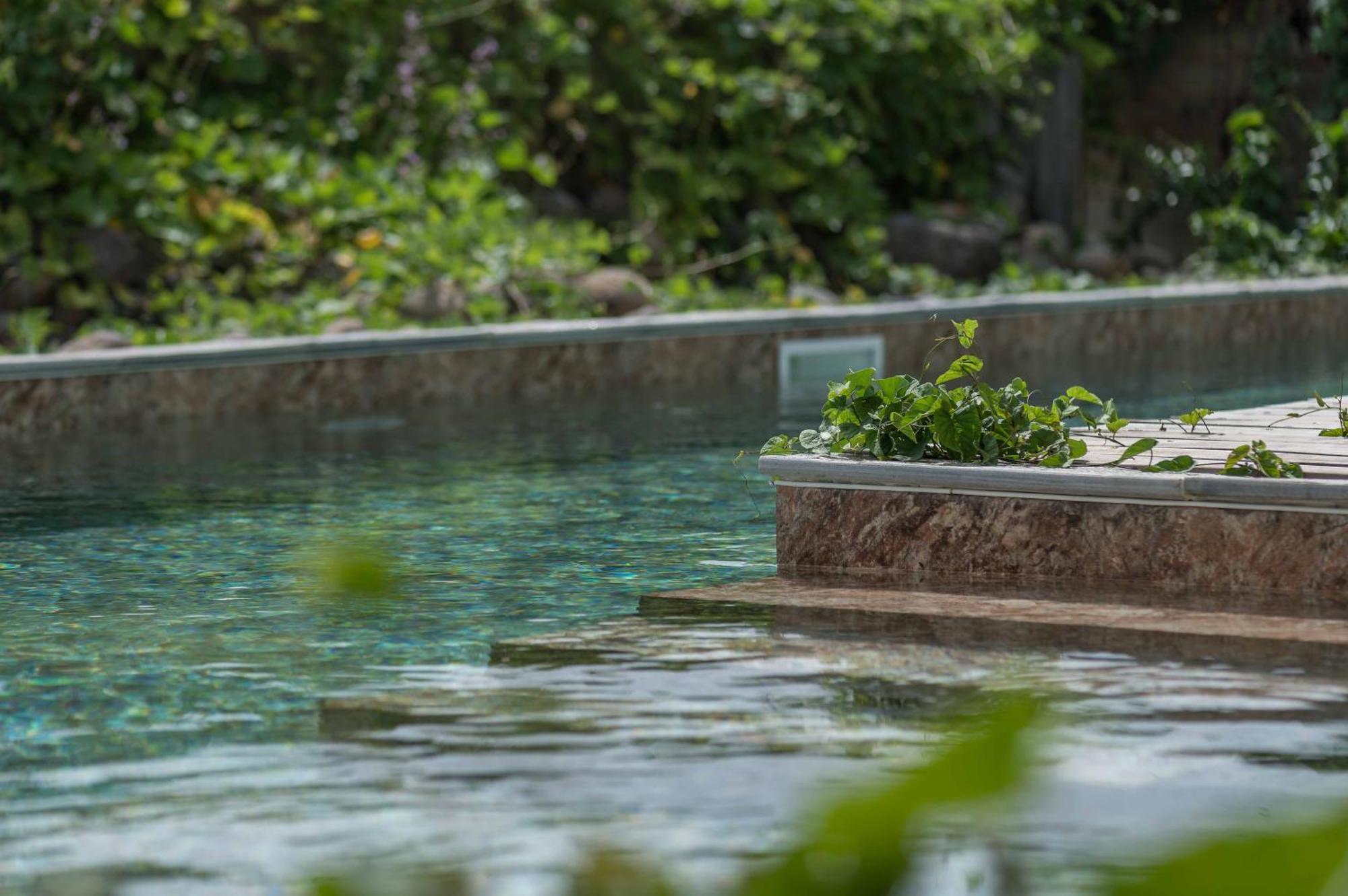 T2 Moderne Avec Piscine Oasis De Nature Et Serenite Petit-Canal Buitenkant foto
